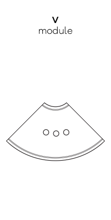 v-module.webp
