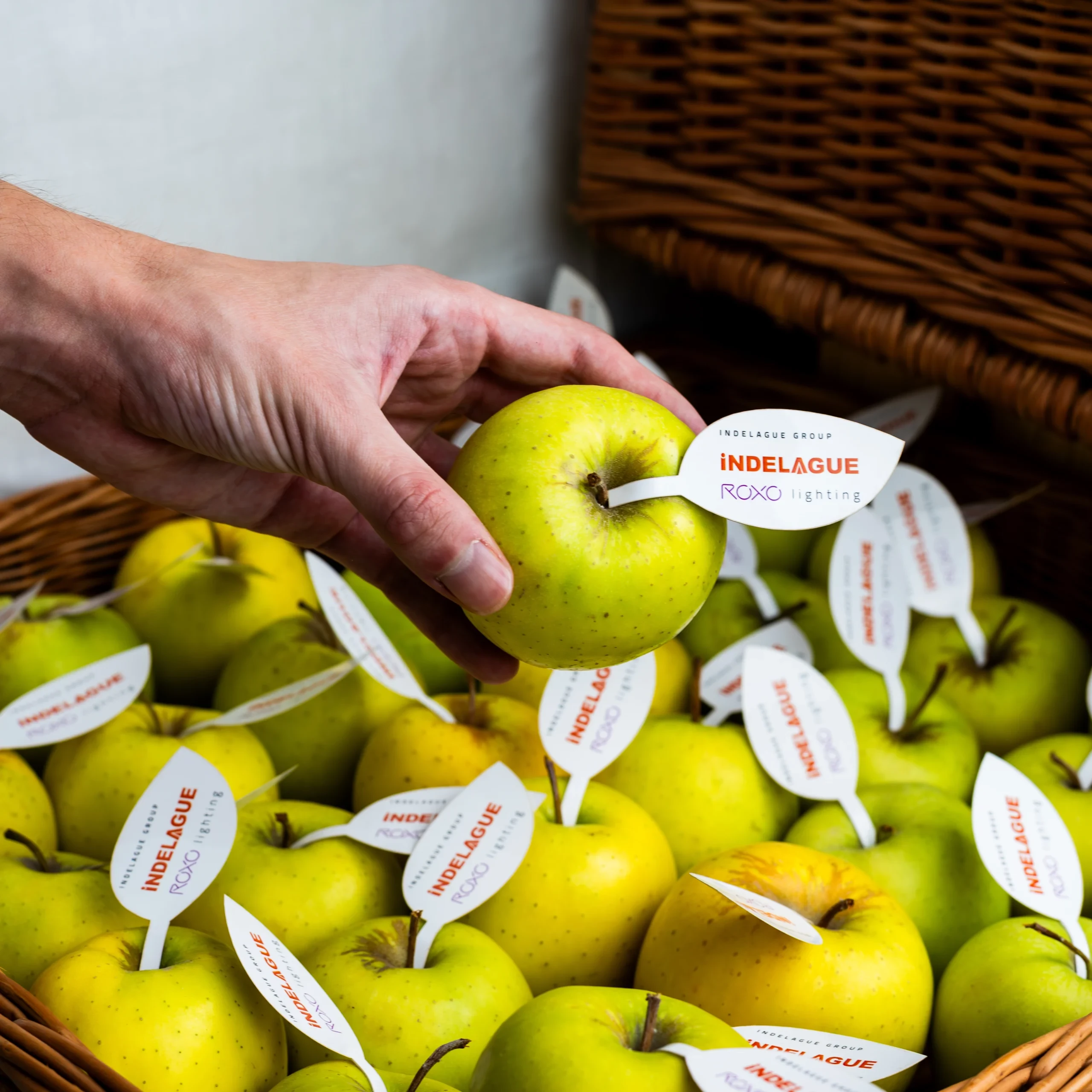 Indelague-world-food-day-image-bloco1-697x697px-scaled.webp
