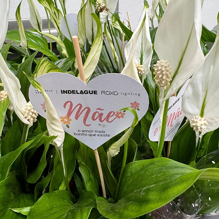 indelague-mothers-day-bloco-1-image_1-697x697px.webp