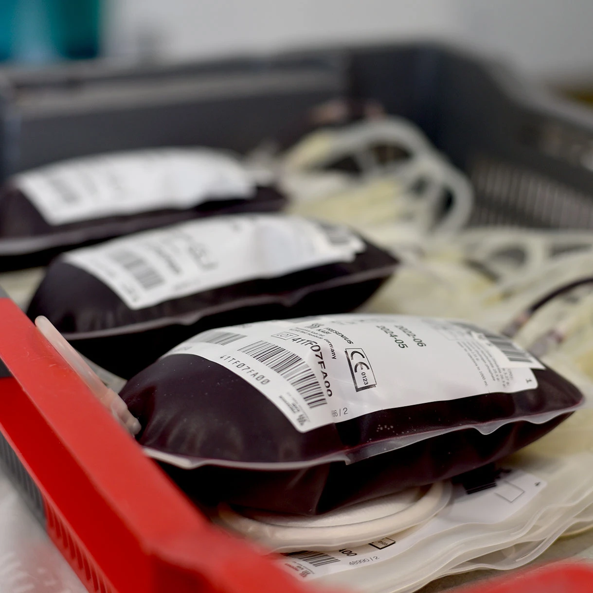 Doe-Sangue_Image-5_1220x1220px.jpg